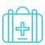 Insulated Medical Travel Bag